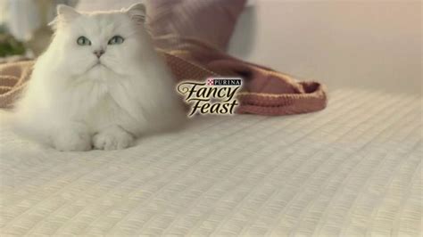 Fancy Feast Medleys TV commercial - Inspiration