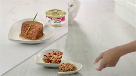 Fancy Feast TV commercial - Delightful: Savory Centers