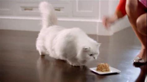 Fancy Feast TV Spot, 'Love Served Daily' Song by Meiko