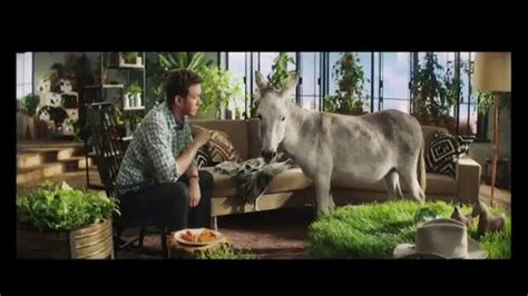 Farm Rich TV commercial - Halloween: Spooky Goat