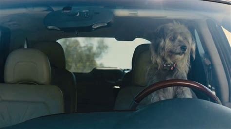 Farmers Insurance TV commercial - Chauffeur Terrier