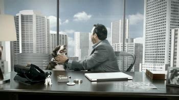 Fast Signs TV Spot, 'Pets' created for Fast Signs
