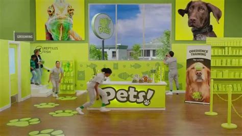 Fast Signs TV Spot, 'Pets' featuring Noah Archibald