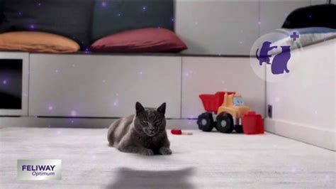 Feliway TV Spot, 'You Would Not Put Up With It If Someone Else Did It' created for Feliway