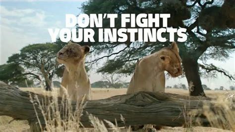 Fiber One TV Spot, 'Don't Fight Your Instincts: Lionesses' created for Fiber One