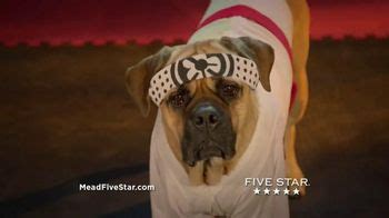 Five Star Flex TV Spot, 'Cinco the Dog vs. Five Star Flex'