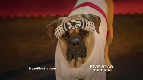 Five Star TV commercial - Cinco the Dog vs. Five Star Sewn Zipper Binders
