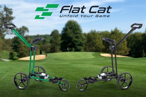Flat Cat Golf logo