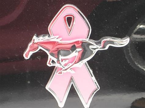Ford Warriors in Pink Stripes of Support Tie logo