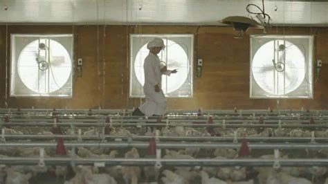 Foster Farms TV Spot, 'Something Special'