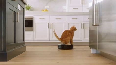 Fresh Step Clean Paws TV commercial - Cat Toy