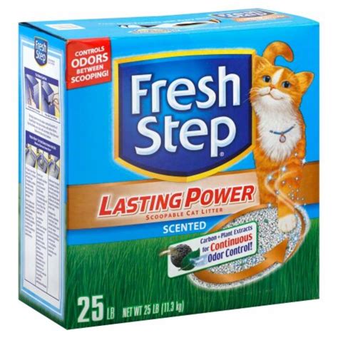 Fresh Step Lasting Power logo