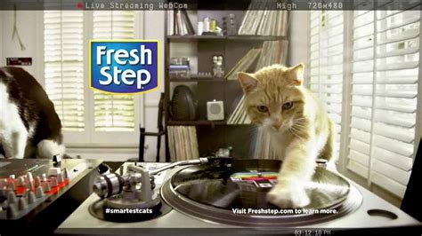 Fresh Step Odor Shield TV Spot, 'Smart Cats: DJs' created for Fresh Step