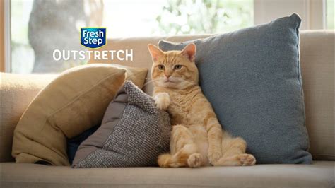 Fresh Step Outstretch TV Spot, 'Be More Like Your Cat'