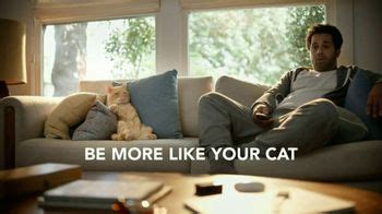 Fresh Step Outstretch TV Spot, 'Be More Like Your Cat: Do Less' Song by Edvard Grieg