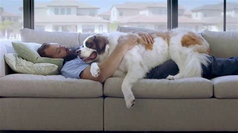 Freshpet Select TV commercial - Booba the 130-Pound Lap Dog