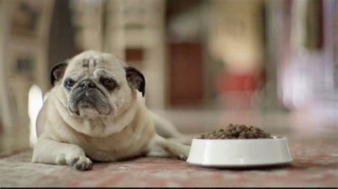 Freshpet Select TV Spot, 'Rudy the Picky Pug' created for Freshpet