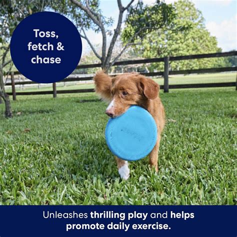 Frisco Fetch Rubber Flyer Dog Toy logo