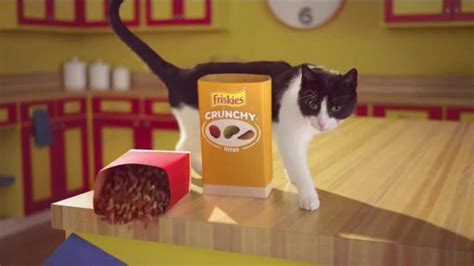Friskies Tender & Crunchy Combo TV Spot, 'That's Just What Happens' created for Friskies