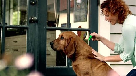Frontline Plus TV Commercial for Flea and Tick Protection created for Frontline