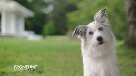 Frontline Plus TV commercial - For All Types of Dogs