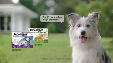 Frontline Plus TV Spot, 'For Dogs and Cats'