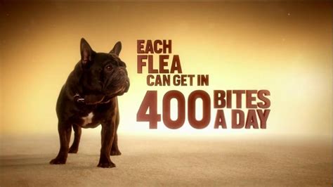 Frontline Tritak for Dogs TV commercial