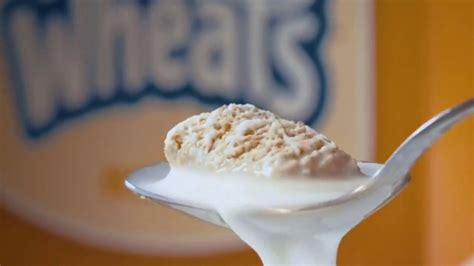 Frosted Mini-Wheats TV Spot, 'Just One Bowl' created for Mini-Wheats