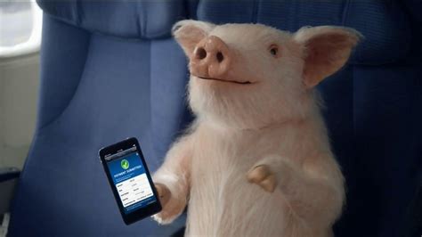 GEICO Mobile App TV Spot, 'When Pigs Fly' featuring Darryl Alan Reed