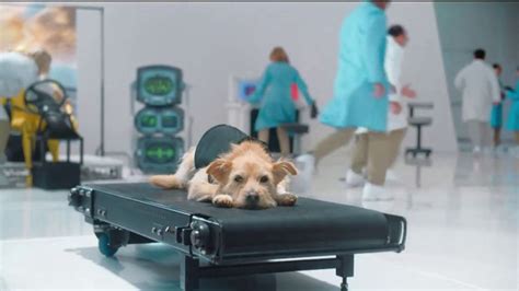GEICO TV Spot, 'Introducing Smartdogs' featuring Mark Anthony Williams