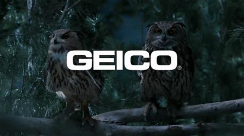 GEICO TV commercial - Owls