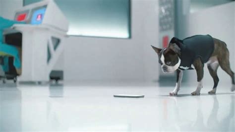 GEICO TV Spot, 'Perros inteligentes'