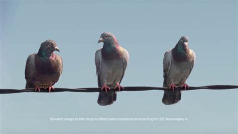 GEICO TV Spot, 'Pigeons Fire at Will' featuring Jeff Pride