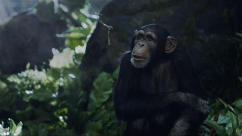 GEICO TV Spot, 'Tarzan Fights Over Directions: It's What You Do' created for GEICO