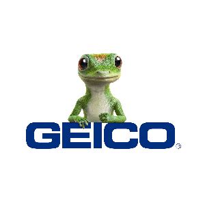GEICO Umbrella Insurance commercials
