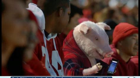 Geico App TV commercial - Pig in a Blanket