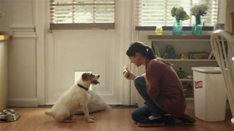 Glad ForceFlex TV commercial - Dog Bone