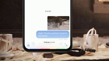 Google Assistant TV Spot, 'Single Parents: Opossum' created for Google Assistant