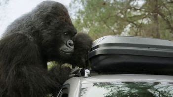 Gorilla Glue TV Spot, 'Luggage Rack'