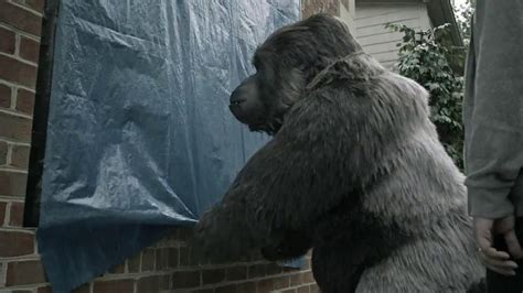 Gorilla Tape TV Spot, 'Gorilla Helps Hang a Tarp'