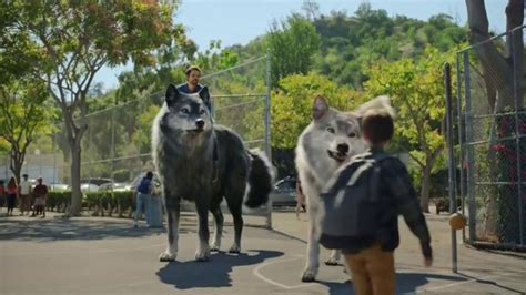 Great Wolf Lodge TV commercial - The Great Wolves Are Back