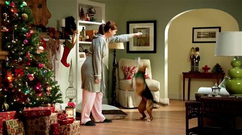 Greenies Canine Chews TV Spot, 'Christmas'