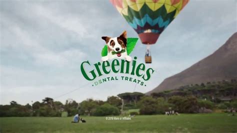 Greenies TV Spot, 'Hot Air Balloon'