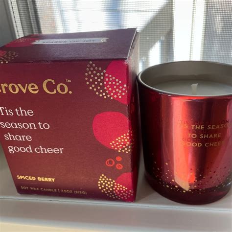 Grove Collaborative Spiced Berry Soy Candle