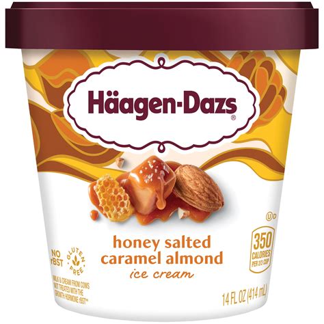 Häagen-Dazs Decadent Collection Honey Salted Caramel Almond Ice Cream