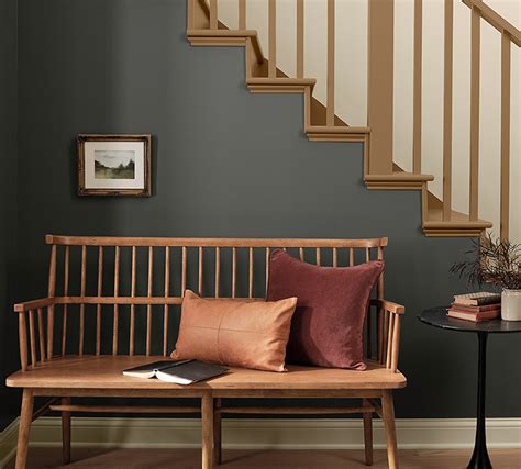 HGTV HOME by Sherwin-Williams Earthy Charm Collection