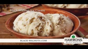 Hammons Black Walnuts TV commercial - Family Recipe