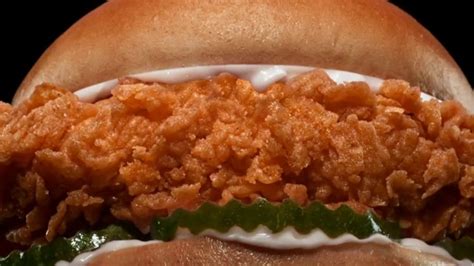 Hardee's Hand-Breaded Chicken Sandwich TV Spot, 'Hot and Juicy'
