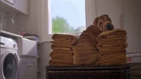 Heartgard Plus TV Spot, 'Any Dog at Any Time' created for Heartgard Plus