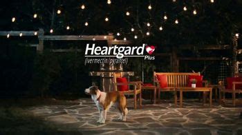 Heartgard Plus TV commercial - Invisible Threat